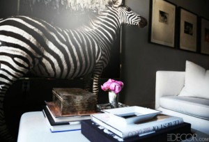 Decorating with Animal Prints: Zebra