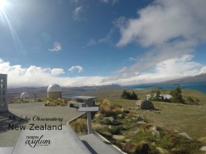 Design Asylum Blog | New Zealand
