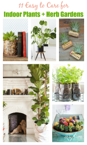 Take a look at these 11 Easy to Care for Indoor Plants + Herb Gardens and see which style would be best for your home. Indoor Plants & Herb Garden Ideas!